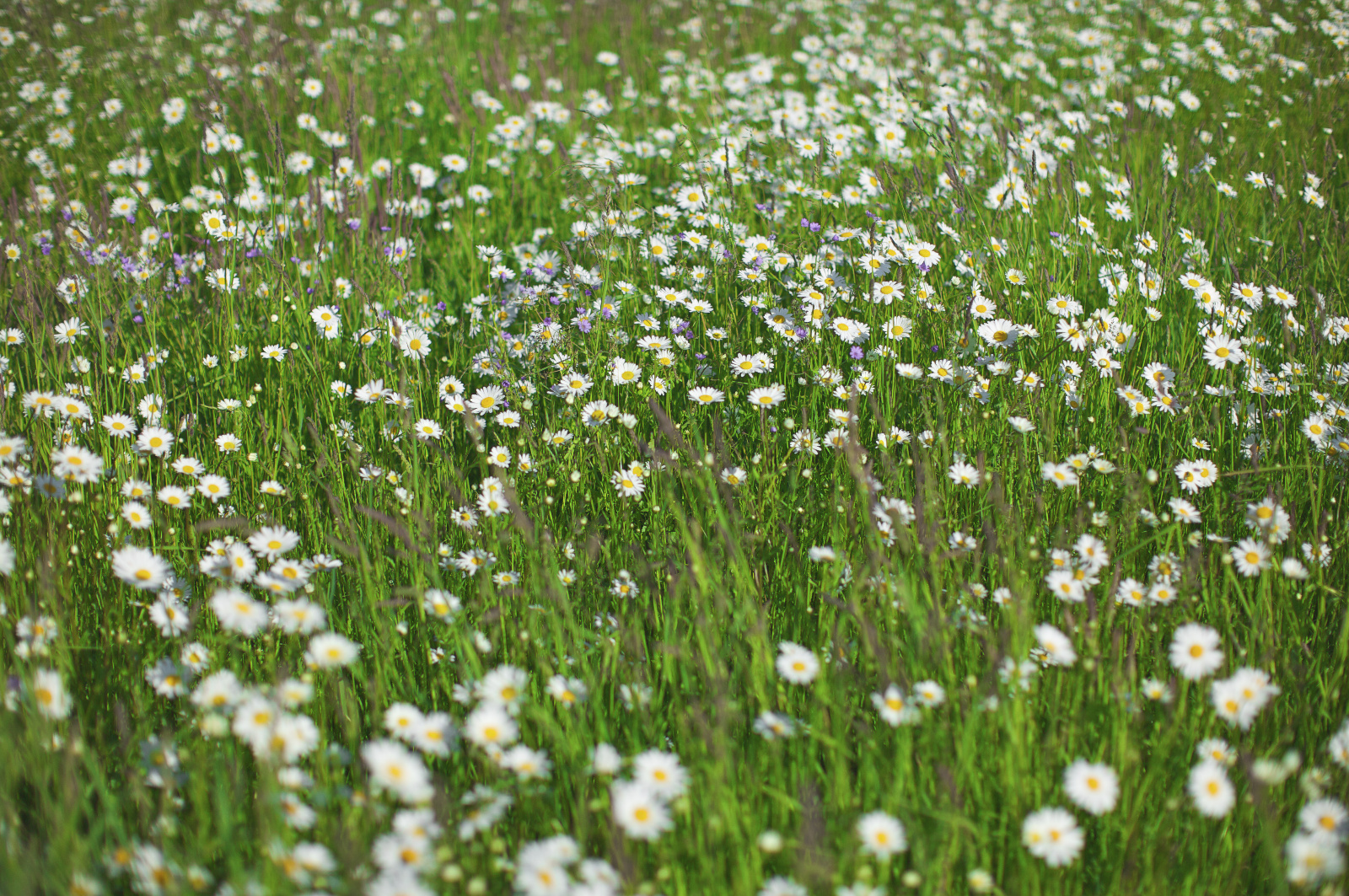 20DU7602   Arbeitskopie 2